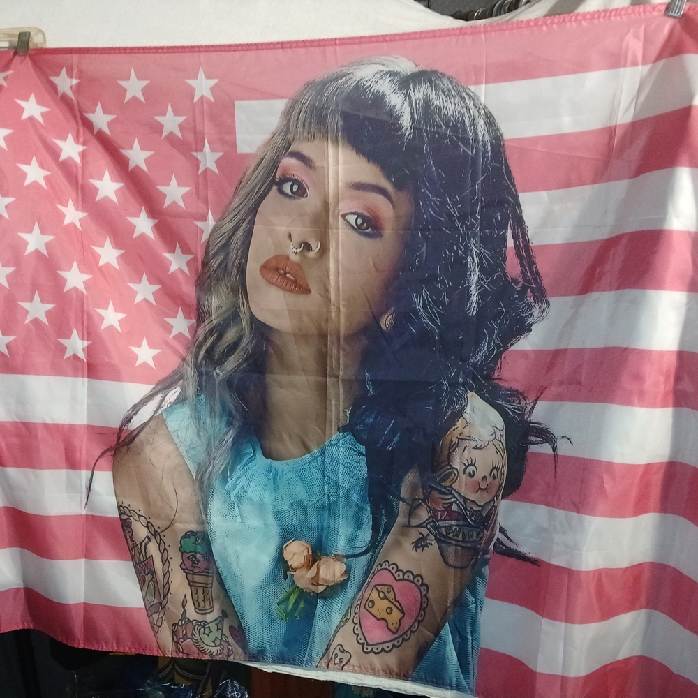 Melanie Martinez Stylish Pink Tapestry Flag Wall Hanging